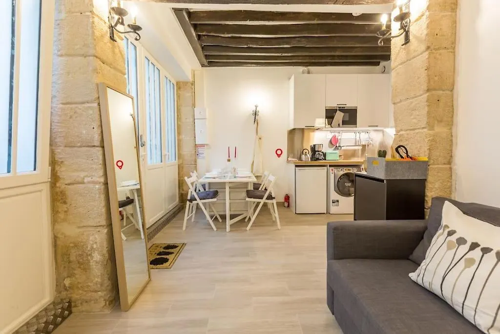 Beautiful Apartment In Louvre Museum Paris